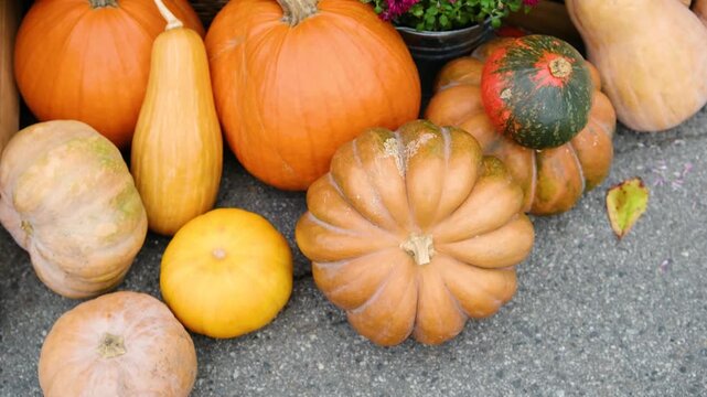Diverse pumpkins and gourds of various shapes and colors arranged outdoors on a textured surface.