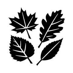 Fototapeta premium PNG Silhouette leaves autumn nature illustration