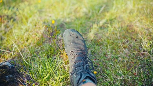 A Hiker's Boot is Surrounded by Numerous Insects on the Grass at Middagsfjellet, Sandland, in Nordkapp, Finnmark, Norway - Close Up