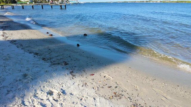 Small waves lapping the shore of the ICW at Summa Beach Park in West Palm Beach Florida and 2 coconuts floating in the water.