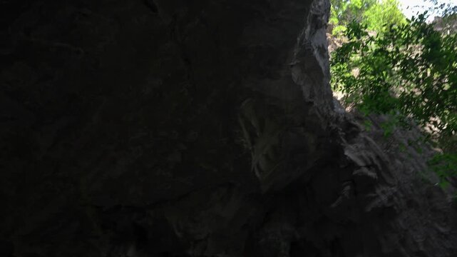 The exit of Tham Heup cave in Laos, tilting up to the cave ceiling, panning and tilting down at the forest.