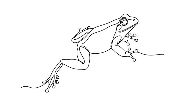 Continuous line drawing of a frog