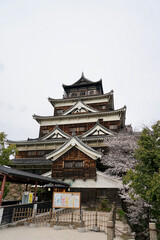 Fototapeta premium Historic Japanese Castle Tower With Cherry Blossoms And Traditional Wooden Architecture Under Overcast Spring Sky