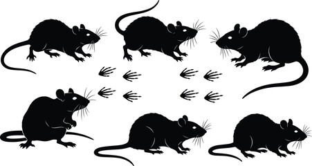 Fototapeta premium Set of black silhouette rats, cute rodents collection, cartoon animal illustration, pest control design, mouse character icons, isolated on white background, vector graphic