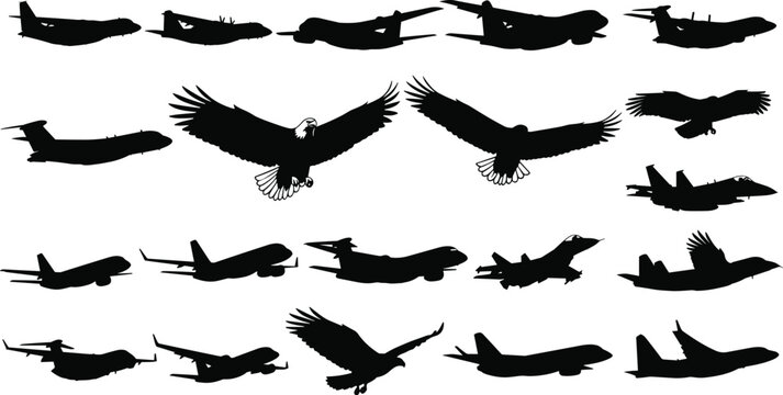 Large collection of black silhouettes featuring various commercial airplanes and soaring eagles in flight isolated on white background flat vector cad illustration.
