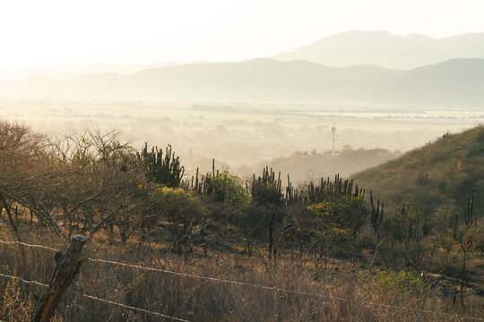 Scenic countryside landscape with cactus plants, rolling hills, and soft sunlight over a rural valley.