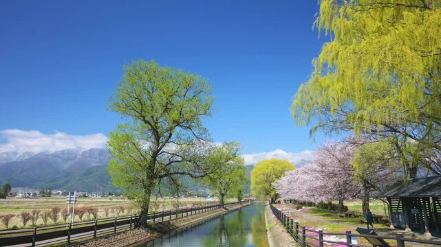 拾ヶ堰じてんしゃひろばの春の風景