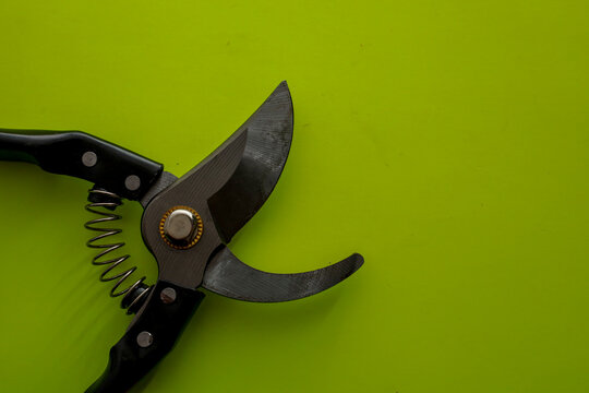 Professional garden pruner with sharp steel blades and black ergonomic handles is positioned against a vibrant lime green background. This reliable branch trimming tool is perfect for illustrating gar