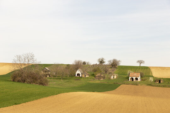 Sanfte H&uuml;gellandschaft mit Feldern und kleinen Weinkellern