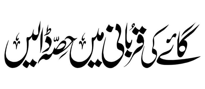 Gaye ki qurbani mein hissa dalein urdu typography vector for sacrificial share in cow during eid ul adha celebration event poster social media ads.