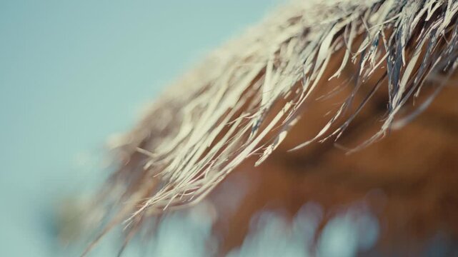 Tropical getaway and vacation vibes with a close up of a thatched roof against a bright sky travel.