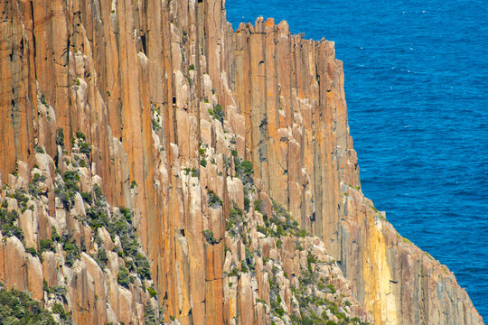 Dolerite Columns of Cape Raoul - Tasmania