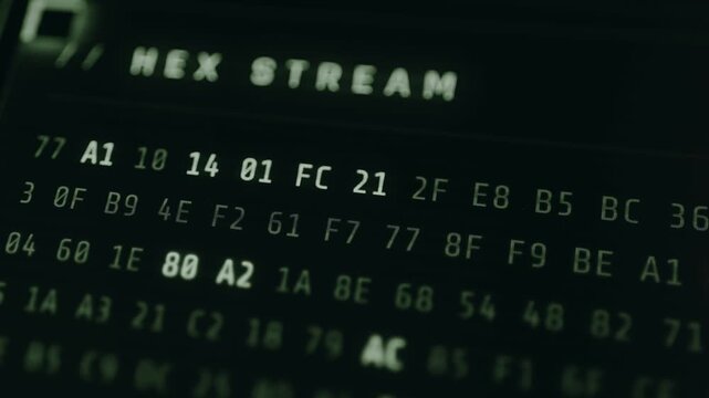 HEX stream, columns of hexadecimal pairs, encoded data