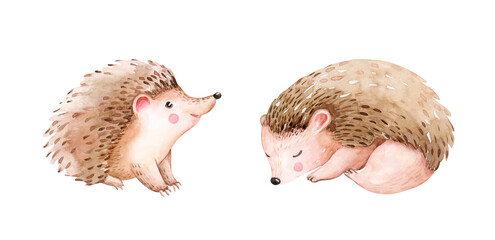 Watercolor cute sleeping baby hedgehog animal. Woodland nursery isolated illustration for children. for children. watercolour stump and acorn forest drawing with floral elements. Butterfly © kris_art