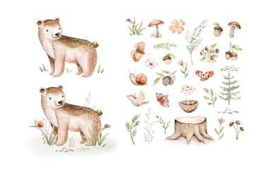 Watercolor cute baby bear and woodland nursery isolated elements illustration for children with stump and acorn forest drawing with floral elements. Butterfly and spruce branch  © kris_art