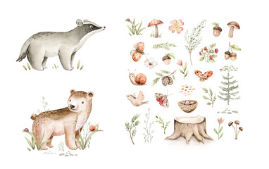 Fototapeta premium Watercolor cute baby bear and badger animal. Woodland nursery isolated illustration character with floral elements for children. watercolour forest drawing, floral image