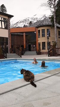 Traveling with a pet. A happy mother and daughter swim in a thermal hot pool against the backdrop of snow-capped mountains.
