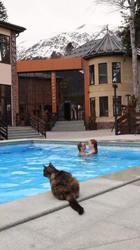 Traveling with a pet. A happy mother and daughter swim in a thermal hot pool against the backdrop of snow-capped mountains.