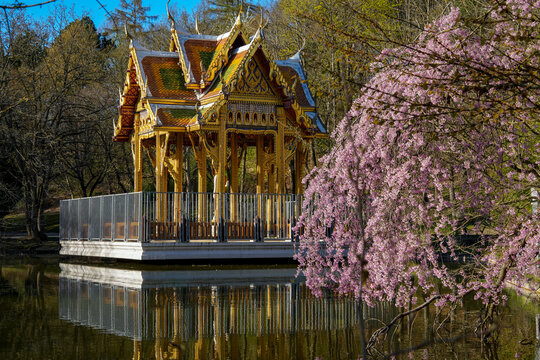 Thai-Sala, a Buddhist temple housing a statue of the Buddha, located in Munich&rsquo;s Westpark. Photo taken in spring with a cherry tree in bloom