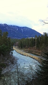 A wide mountain river on a cloudy day. A bird's eye view of a spring forest.