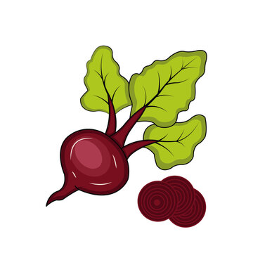 Beetroot Vector
