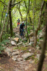 Fototapeta premium Two mountain bikers riding a rocky forest trail through green woodland during an adventurous downhill ride