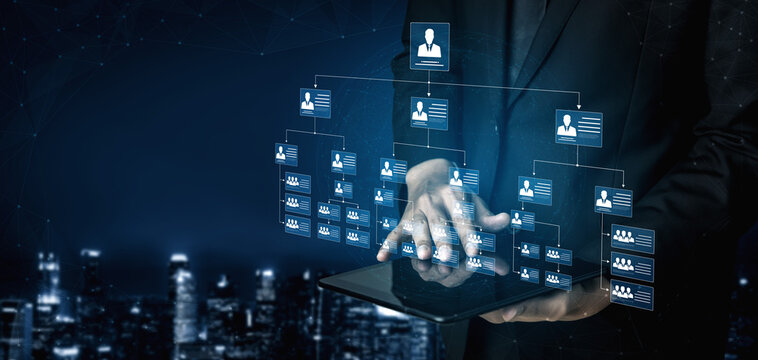 Corporate org chart and team structure show hierarchy, team, and structure for clear organization, management, and operational planning Vouch
