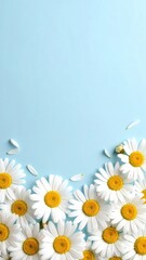 Obraz premium A vibrant flat lay composition showcases a cluster of fresh daisies arranged along the bottom edge of a serene blue background, creating a cheerful and natural aesthetic.