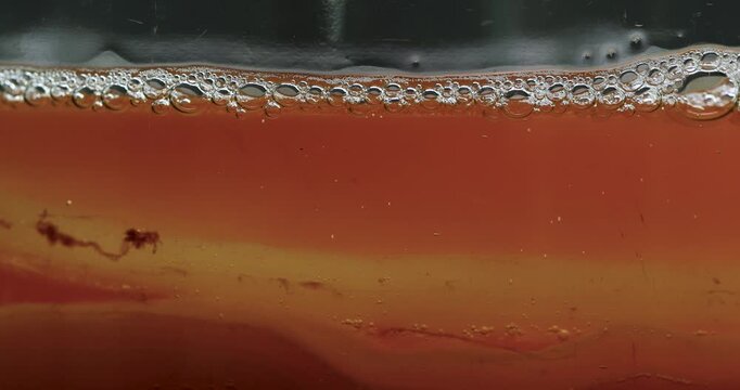 Closeup Kombucha Fermentation Amber Liquid Bubbles Pellicle Strands Drifting Along Glass Surface, Subtle Foam Ring At Rim, Warm Natural Light, Homemade Brew Atmosphere, Probiotic Culture