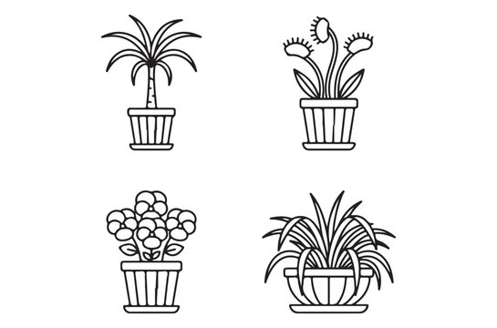 Line art illustration featuring various potted plants and botanical elements