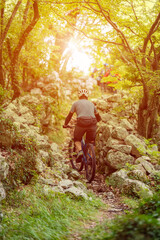 Obraz premium Mountain biker riding a rocky forest trail toward a sunlit clearing on a summer afternoon