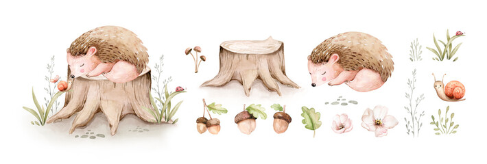 Watercolor cute sleeping baby hedgehog animal. Woodland nursery isolated illustration for children. for children. watercolour stump and acorn forest drawing with floral elements. Butterfly  © kris_art