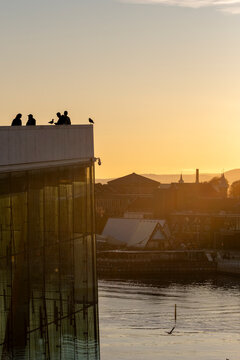 Golden sunset sky over city skyline with silhouettes on a rooftop as modern architecture building shapes the horizon in warm evening light