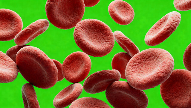 Microscopic 3D render of realistic human blood platelets or thrombocytes with irregular organic shapes and textures isolated on a solid bright chroma key green screen background for medicine