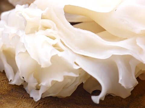 Curly Sparassis/Sparassis crispa, also known as &ldquo;Cauliflower Mushroom&rdquo; - Edible mushroom