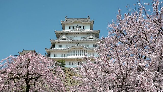 姫路城_現存12天守」の一つ。特に大天守と3つの小天守が渡櫓で結ばれた連立式天守の姿は壮観
