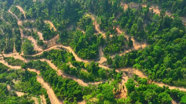 Aerial drone view of deforested hills with winding dirt roads, highlighting illegal logging activities, environmental degradation, and the urgent impact of deforestation on ecosystems, climate change.