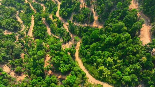 Elevated drone perspective of deforested land with exposed soil and pathways, highlighting illegal logging, environmental destruction, and the global importance of protecting forest ecosystems. 4k.
