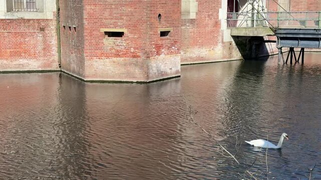 A white swan gracefully swims across a calm moat in front of a historic brick castle on a sunny day