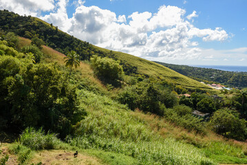 Obraz premium Mountain landscape in the island of Dominica