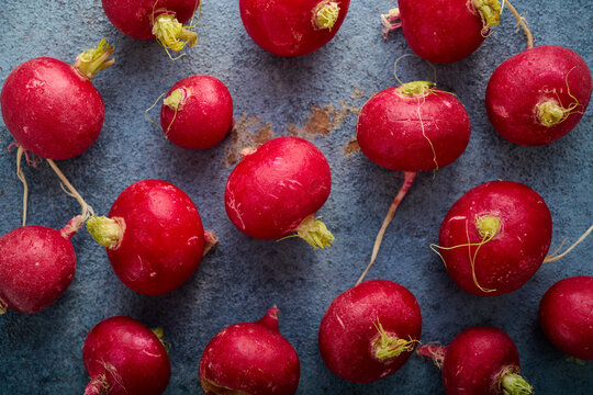Red radishes freshly picked from the garden