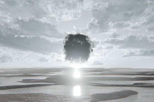 3D tree horizon with radiant water and cloudscape