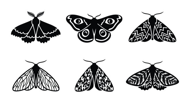 Mystical moth silhouettes, 6 black butterfly icons, celestial insect vector