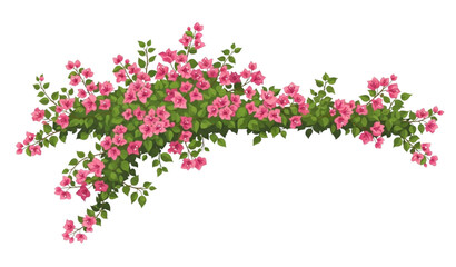 Bougainvillea floral vector illustration with abundant pink tropical blossoms © Crafts Home