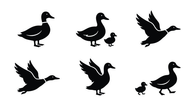 Duck silhouette vector set, flying mallard icons, waterfowl bird graphics