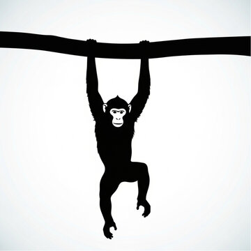 Monkey Hanging from a Bar Illustration.