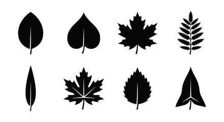 Black leaf silhouettes, 8 botanical icons, minimalist tree leaf vectors © Creative Silhouette 