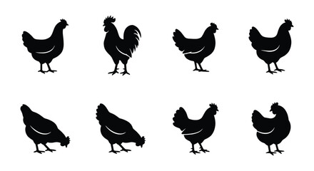 Chicken silhouette vector set, 8 farm poultry icons, rooster and hen shapes © Designhoost Ltd