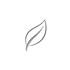 Fototapeta premium Simple Line Drawing of a Leaf.