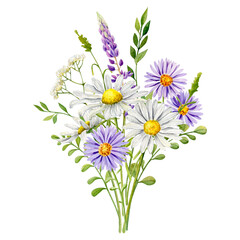 High-quality hand-painted watercolor illustration featuring a charming bouquet of meadow flowers. Includes white daisies (chamomile), purple wild asters, lavender sprigs, and delicate greenery.  © Tatsiana